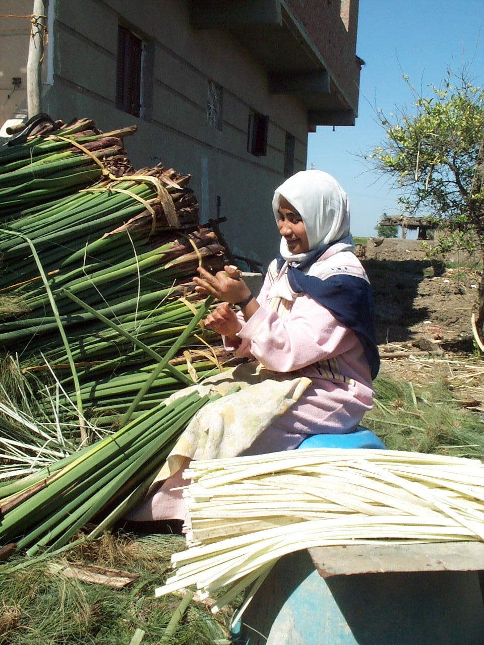 Blanko Papyrus-Rolle – 30 x 82 cm – Naturrand