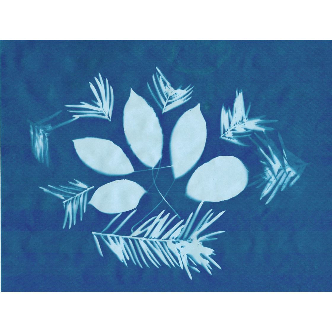 Le papier photo solaire / Papier cyanotype (14 x 19 cm), 20 feuilles - AstroMedia