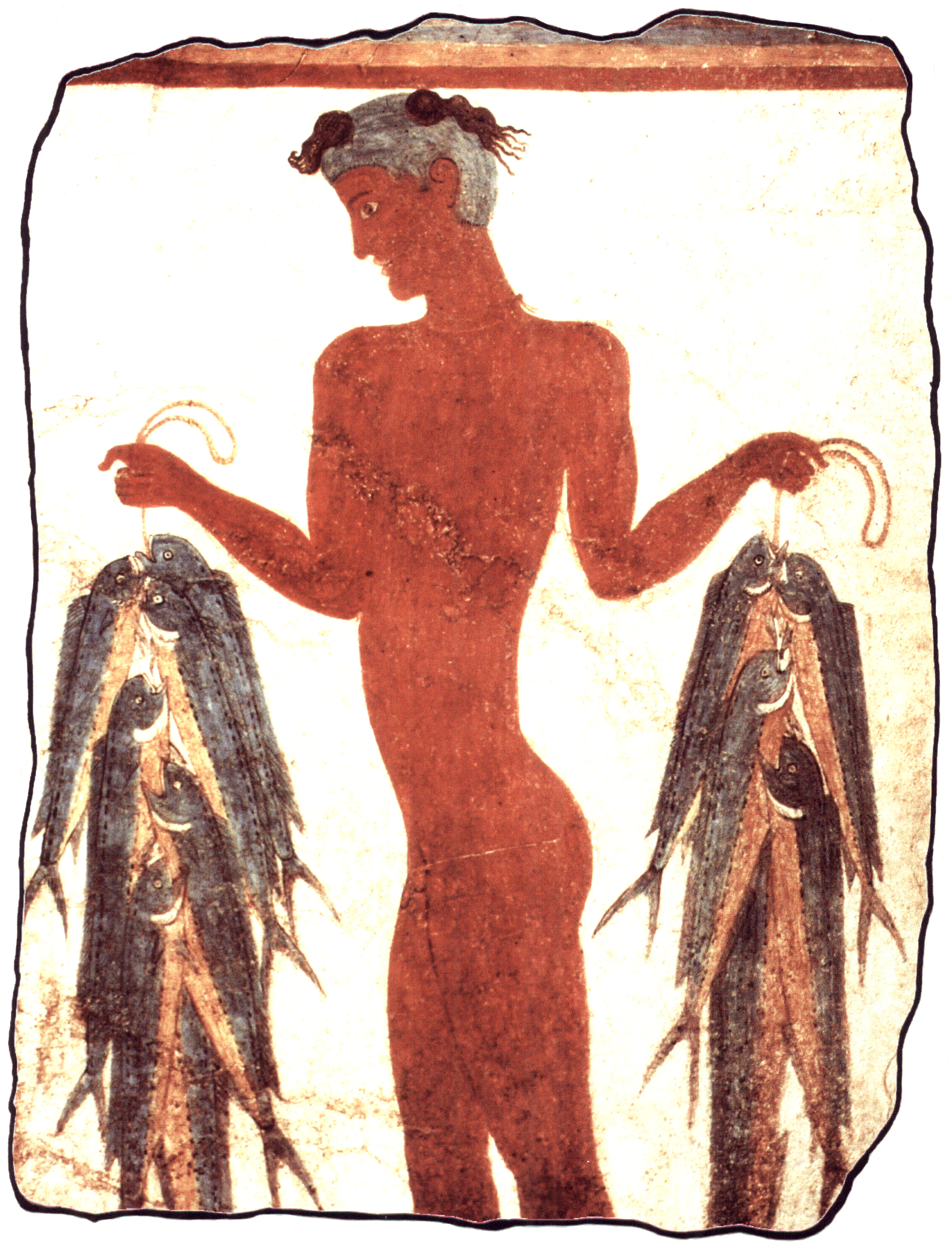 Plasterboard - Fischer from Santorini