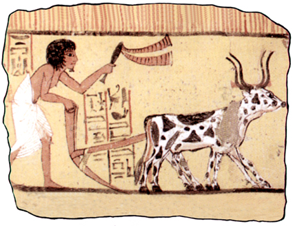 Plaques de plâtre Travaux sur le terrain