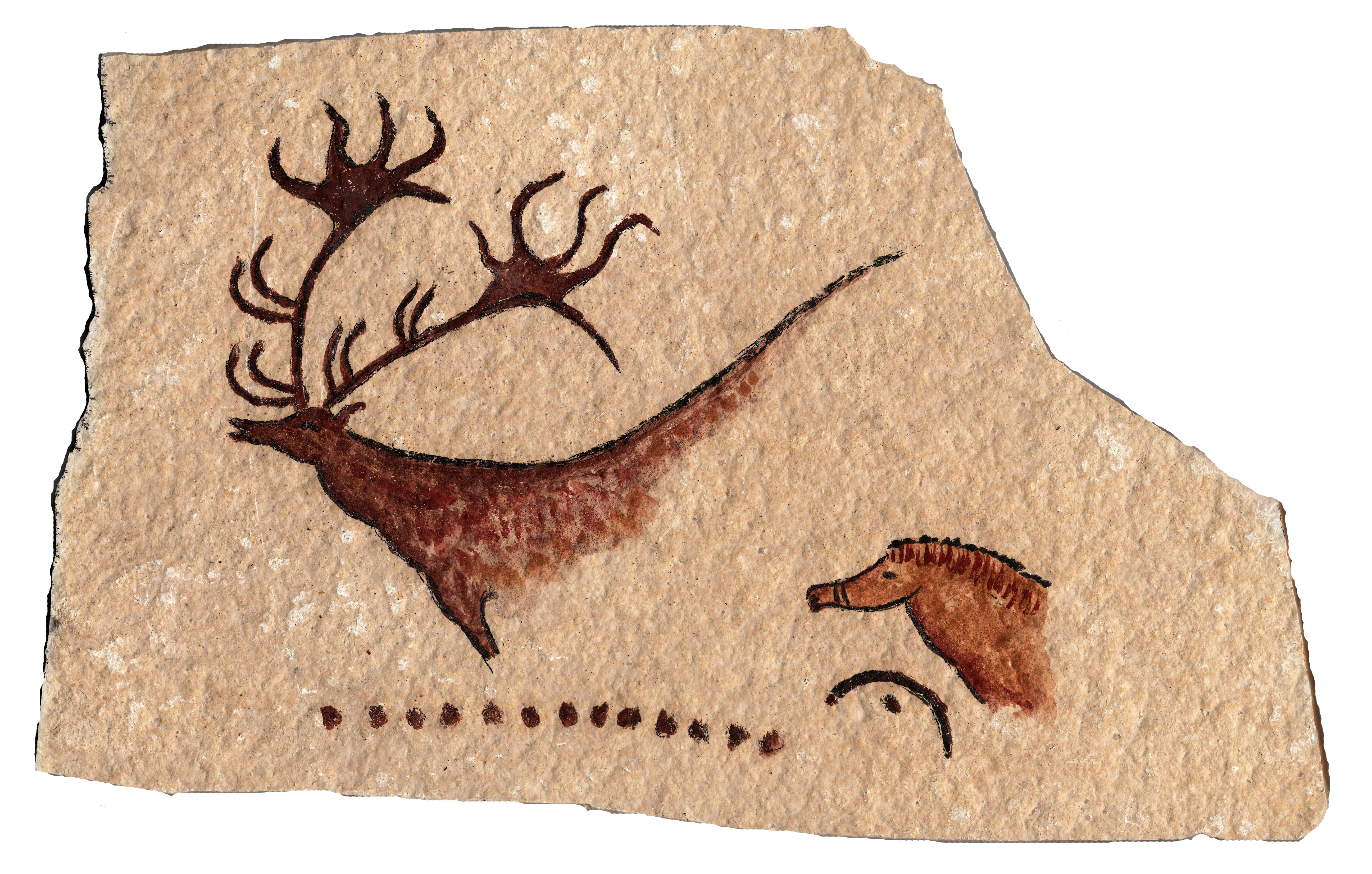 Höhlenmalerei Einzelmotiv „Hirsch und Pferd“