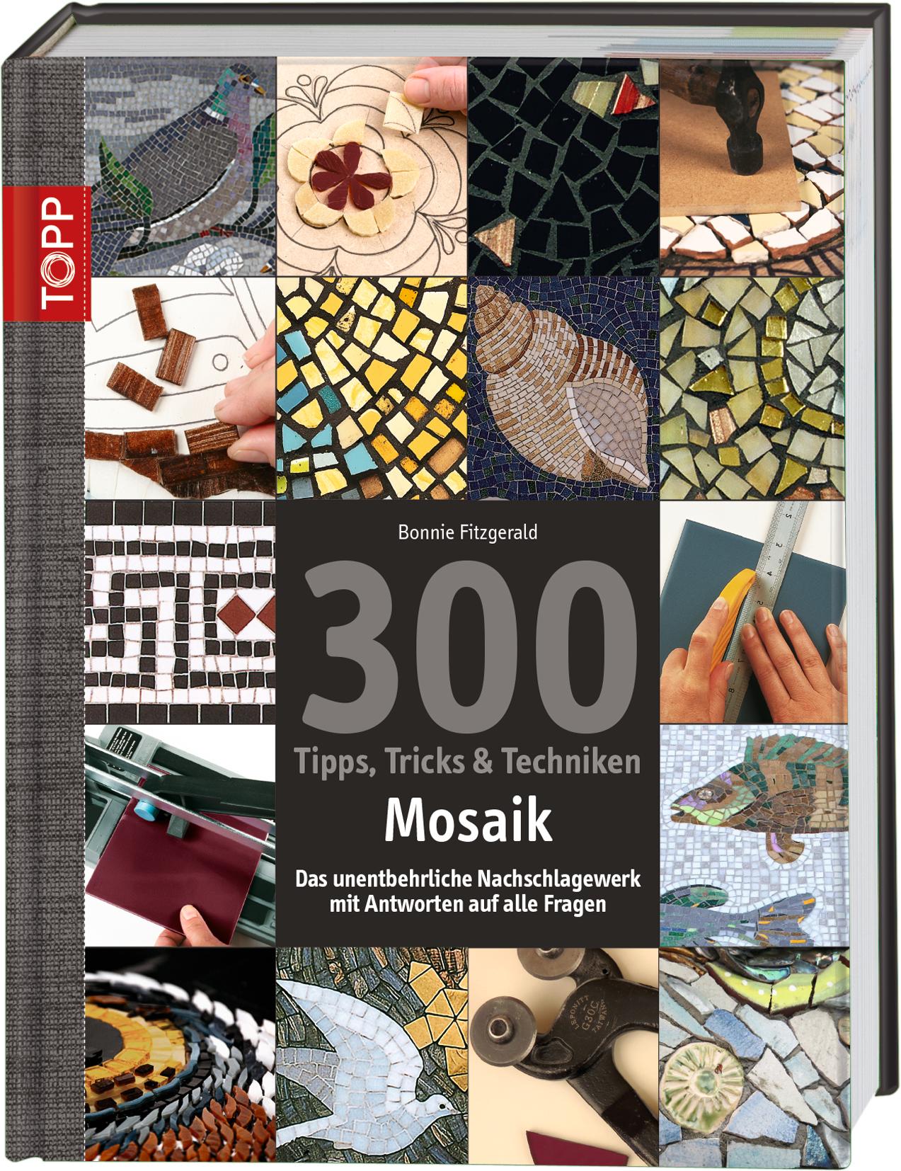 300 Tipps, Tricks & Techniken Mosaik