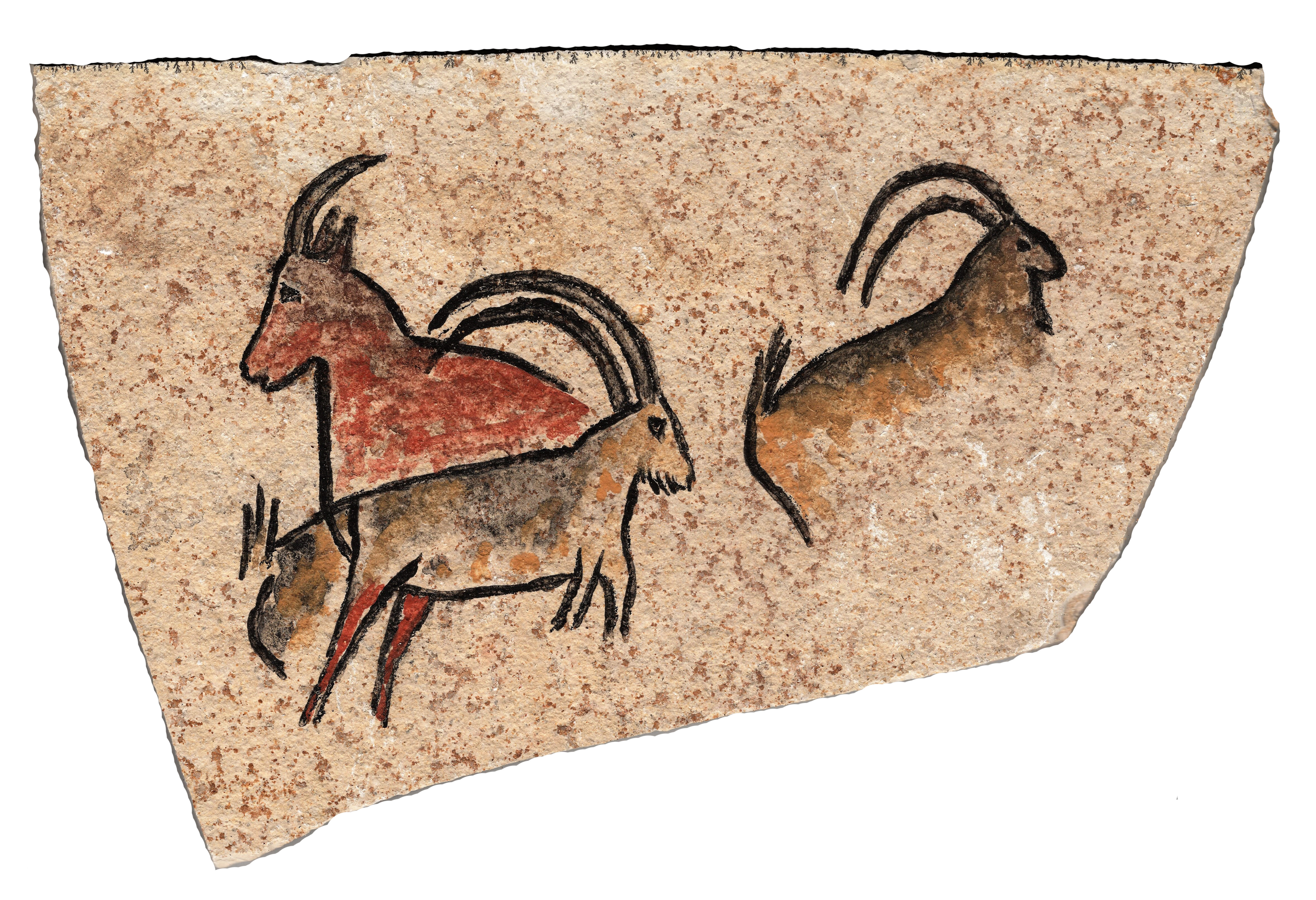 Höhlenmalerei Einzelmotiv „Steinböcke und Ziege“