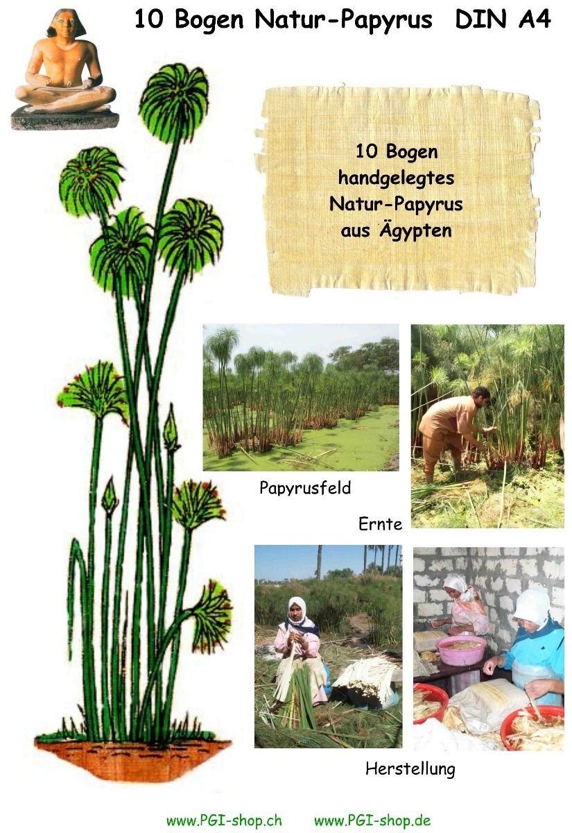 10 Bogen Blanko Papyrus Format A4 – Gratis Lesezeichen