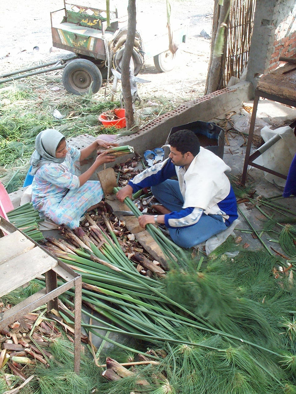 10 sheets blank papyrus format A5