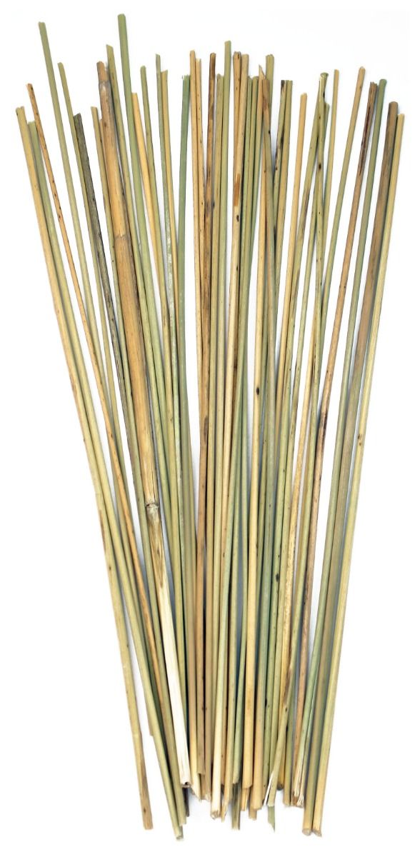 Class set of papyrus and rushes