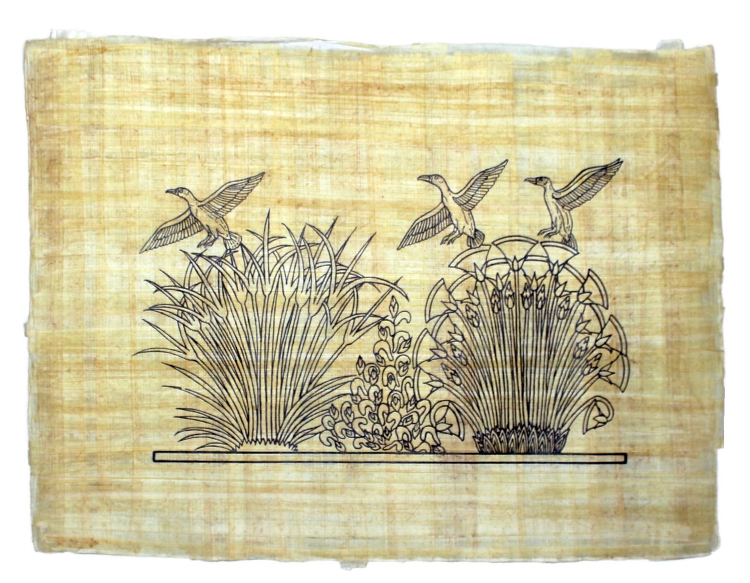 Papyrus und Enten