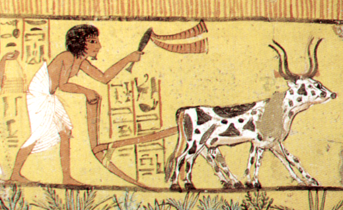 Plaques de plâtre Travaux sur le terrain