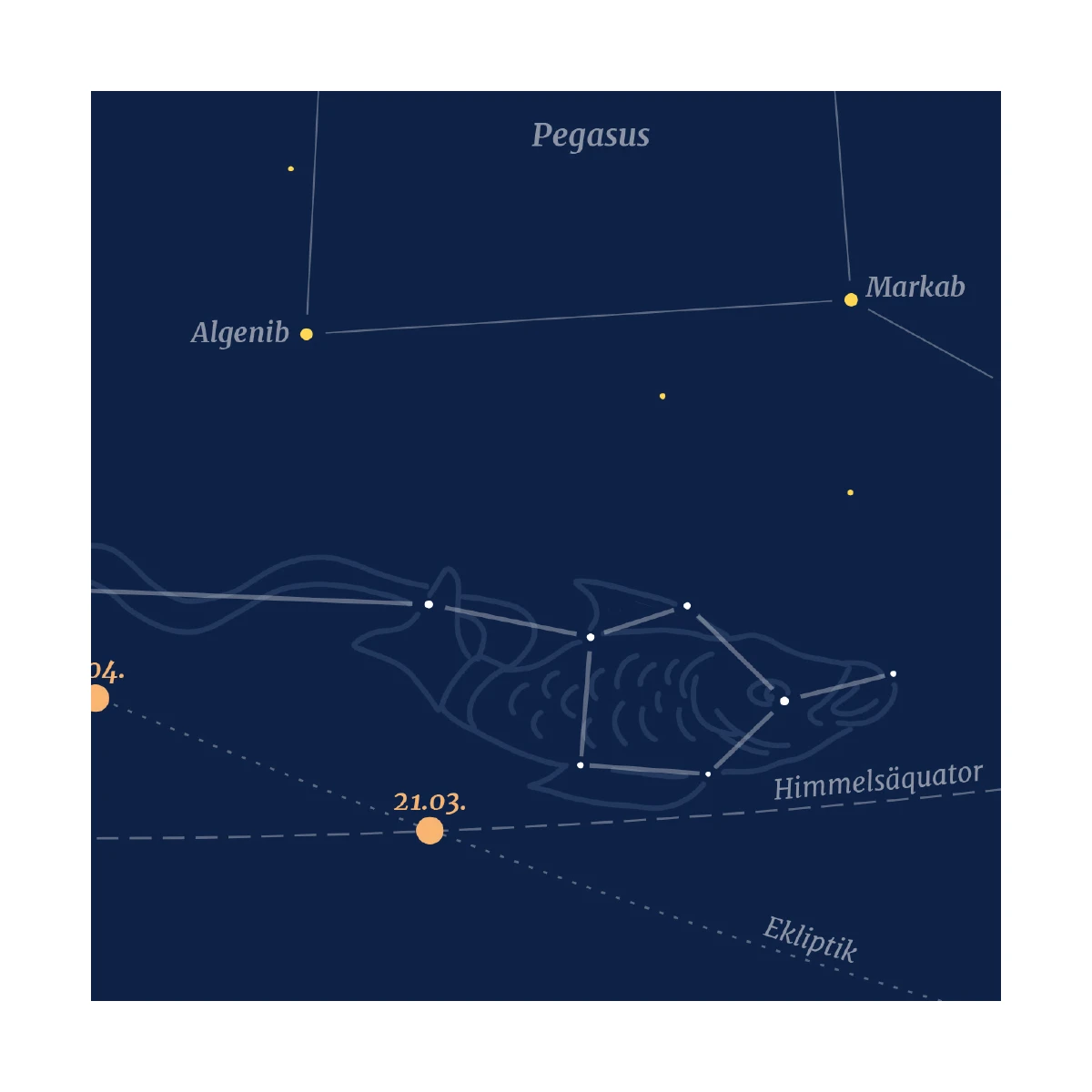 Fische - Sternbild-Postkarte