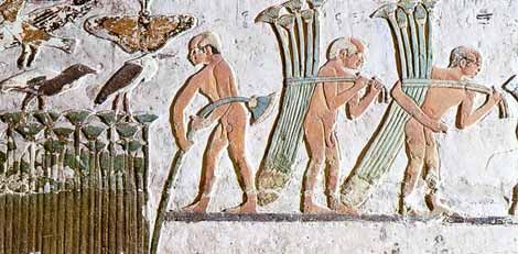 Signet en papyrus - Tut Anch Amun
