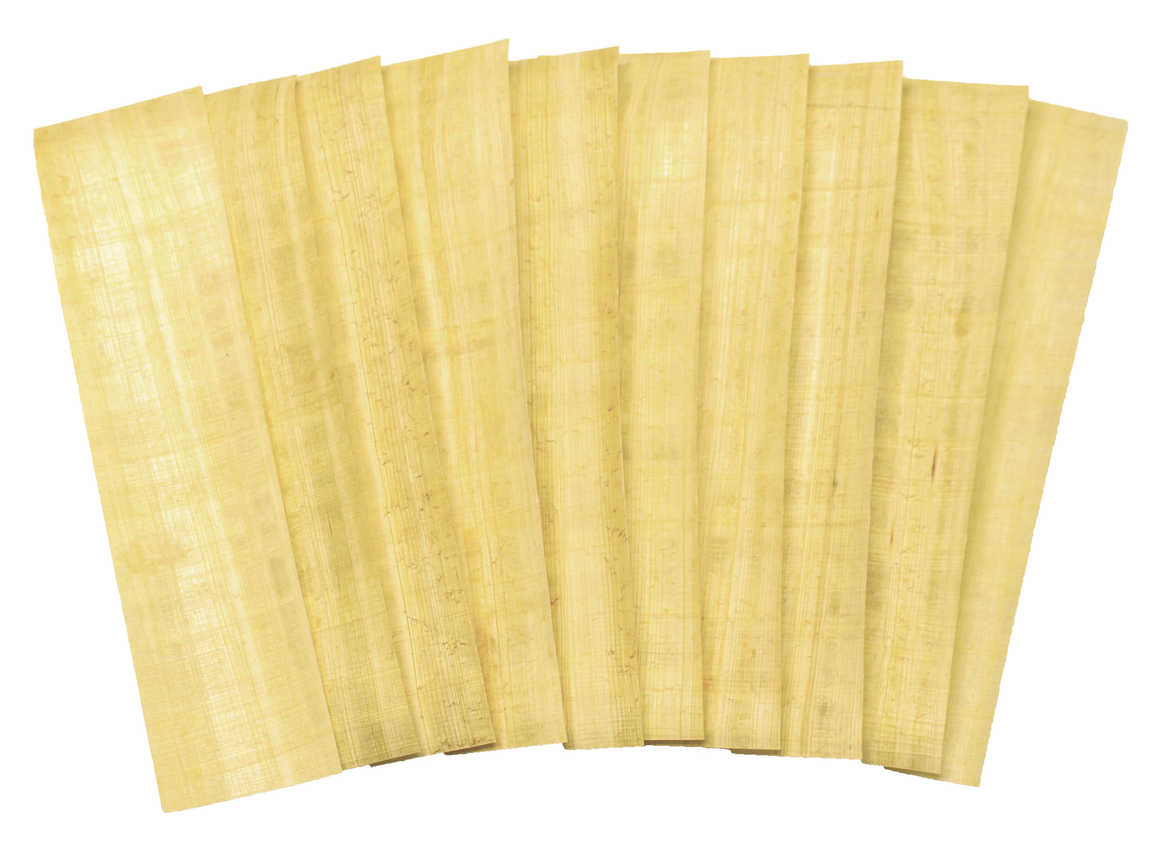 10 Papyrus Marque-pages 5 x 19 cm & pochettes de protection