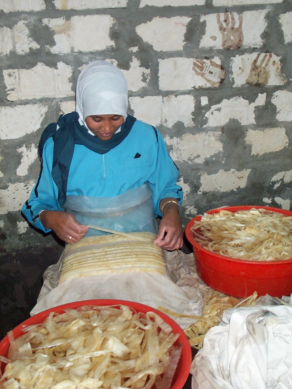 Papyrus bible roll - self assembly kit