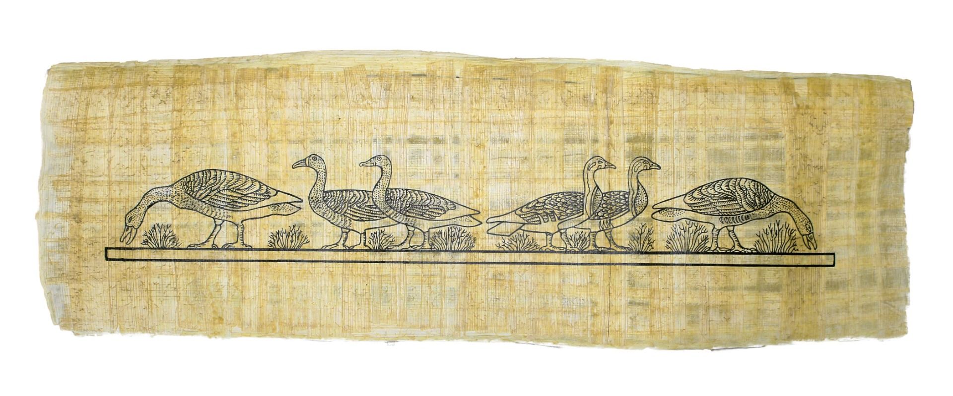 Papyrus Gross-Formate - Die Gänse von Meidum