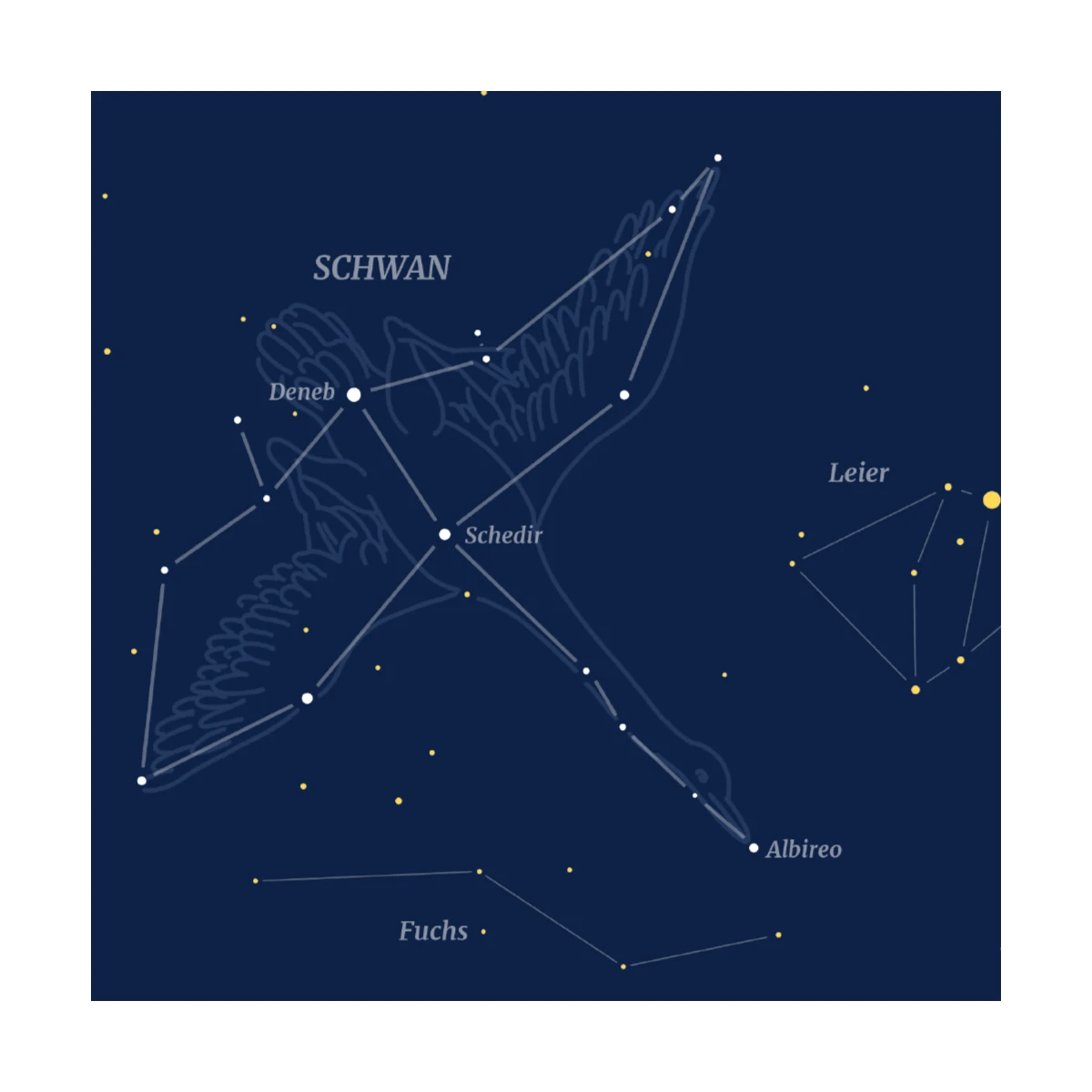 Schwan - Sternbild-Postkarte