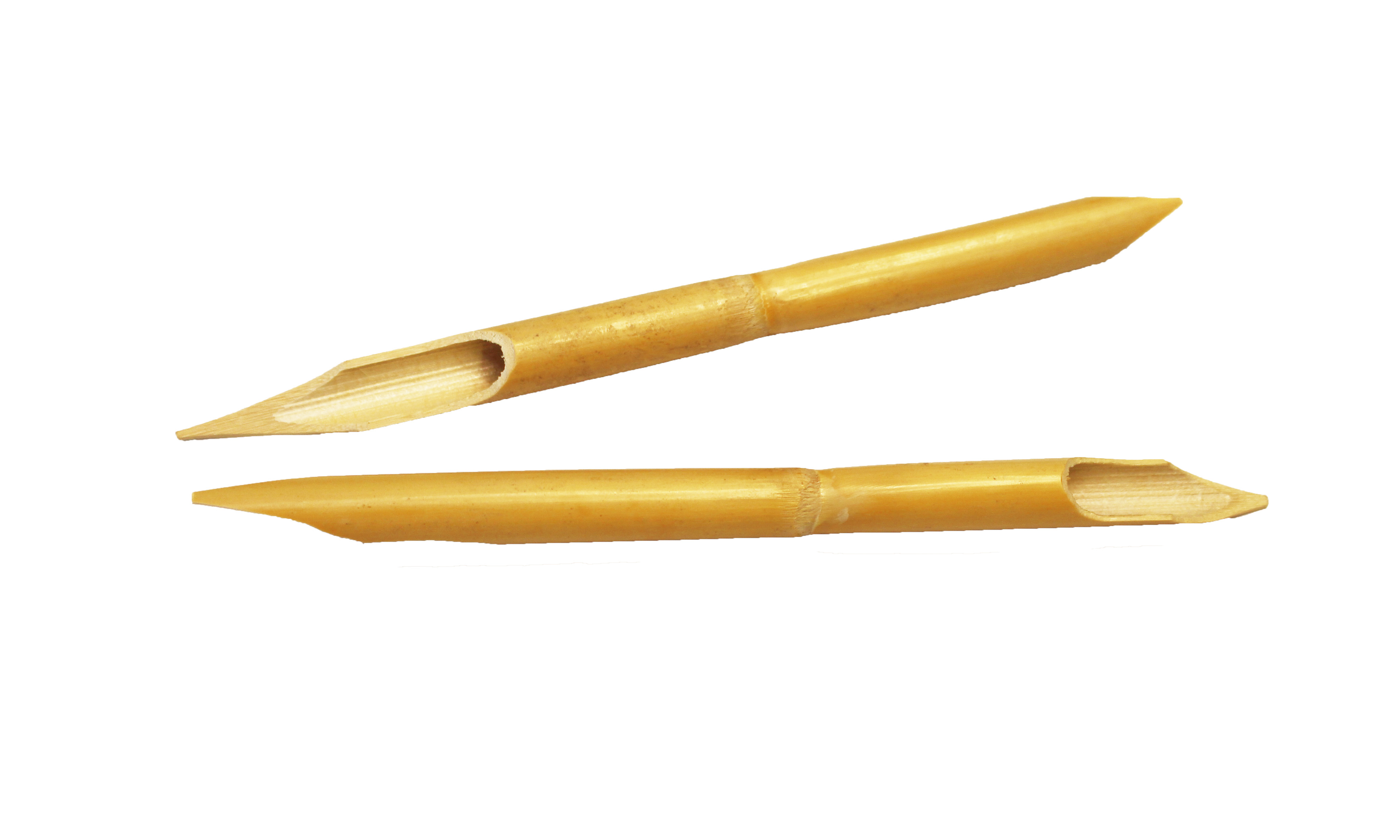 10 Schreibrohre / Calamus - doppelseitig