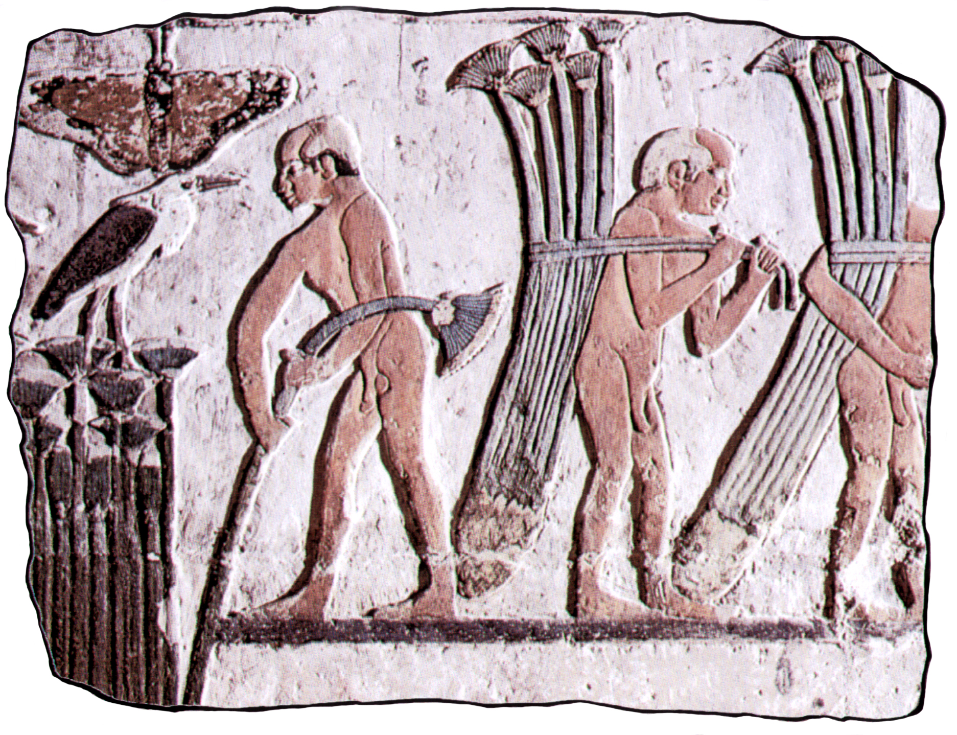 Gipsplatte Papyrusernte