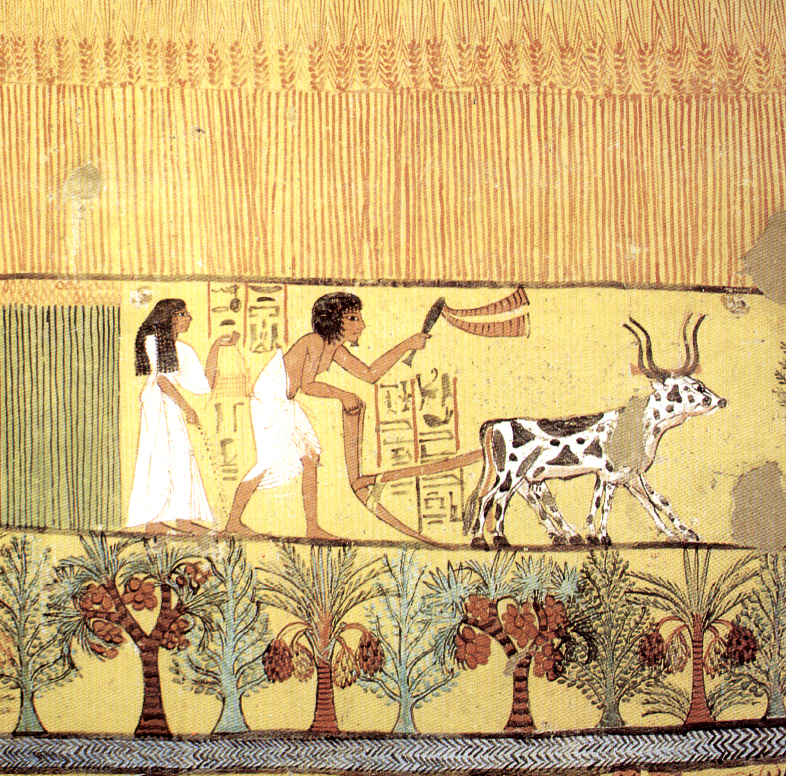 Plaques de plâtre Travaux sur le terrain